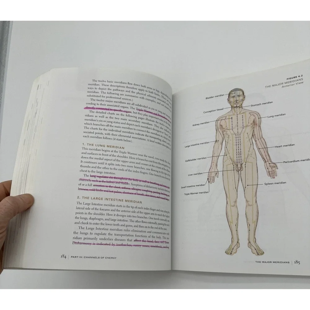 The Subtle Body Encyclopedia of Your Energetic Anatomy Cyndi Dale Paperback 2009
